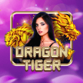 Dragon Tiger windream live casino